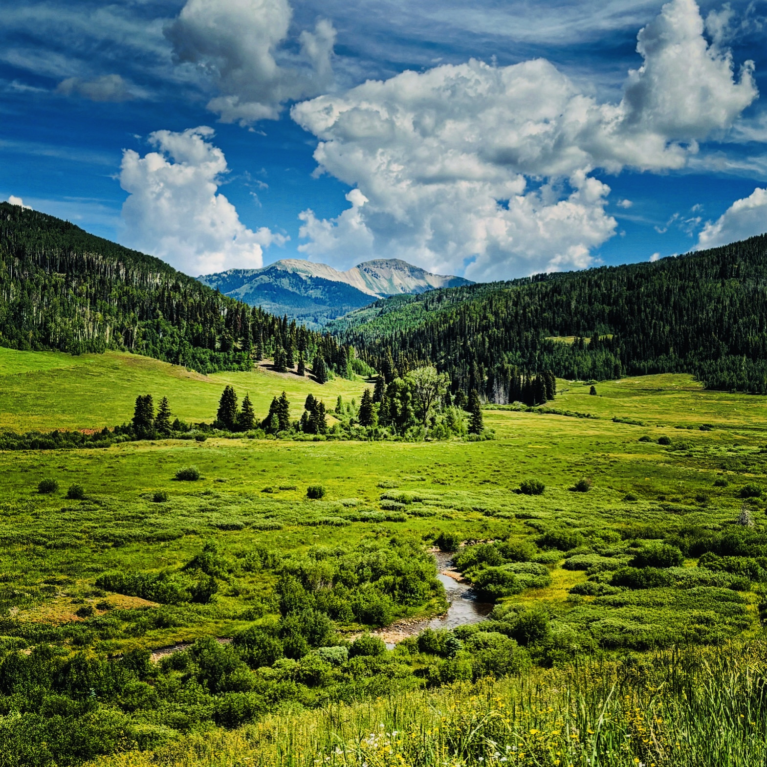 A Rocky Mountain meadow with aspens and a winding stream